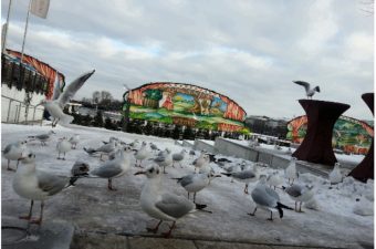 Winter an der Binnenalster